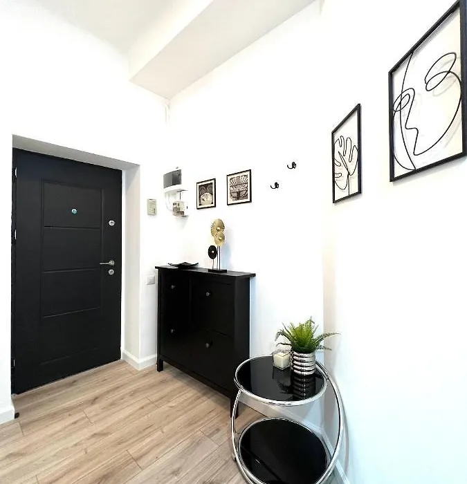 Green Spot - Premium Studio - Sanador Victoriei-1