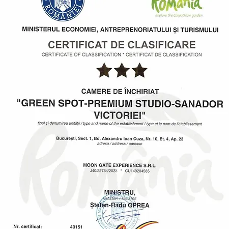 Green Spot - Premium Studio - Sanador Victoriei-3